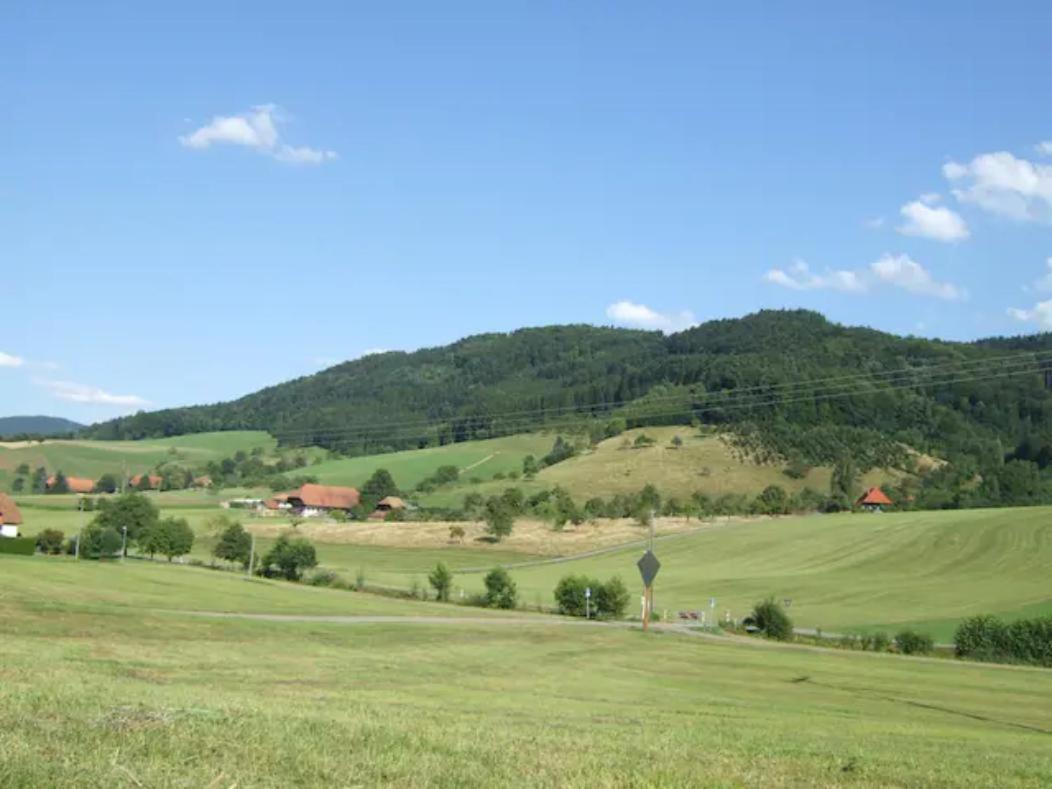 Sonniges-Naturnahes-Schwarzwald-Ferienhaeuschen Welschensteinach Экстерьер фото