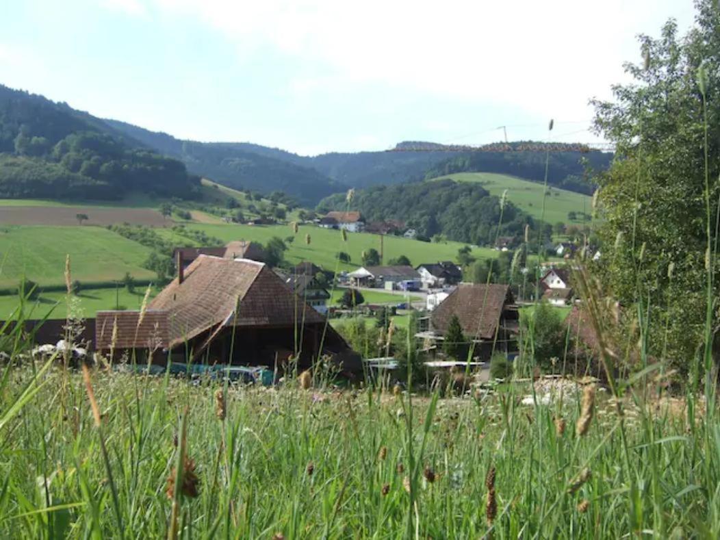 Sonniges-Naturnahes-Schwarzwald-Ferienhaeuschen Welschensteinach Экстерьер фото