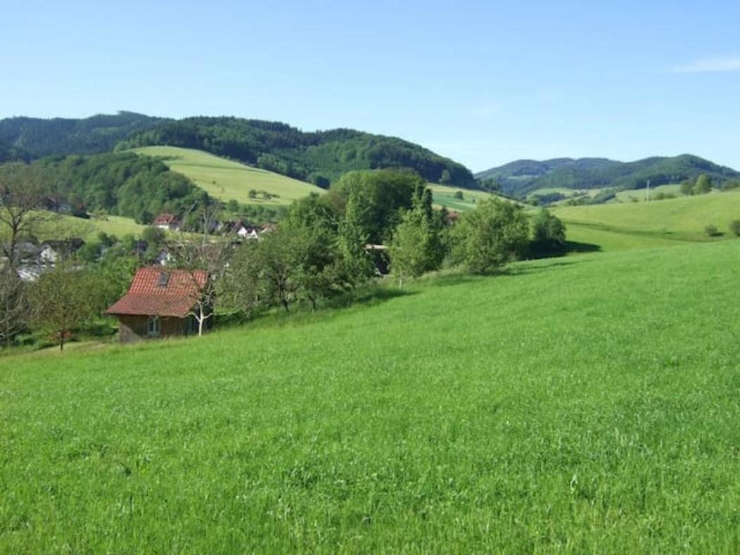 Sonniges-Naturnahes-Schwarzwald-Ferienhaeuschen Welschensteinach Экстерьер фото